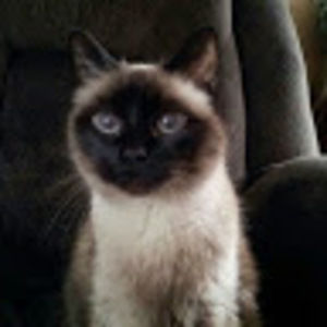 Meet your Posher, Deb